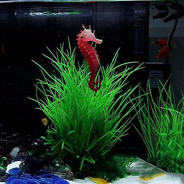 Lampalar: Akvarium silikon isiqveren deniz ati — 4