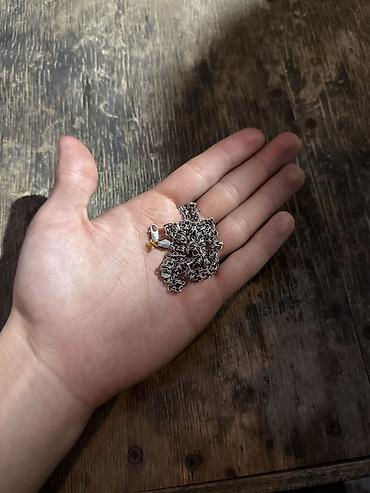 sep sekilleri: Boyunbağı, Gümüş, 15 g, Ünvandan götürmə — 2