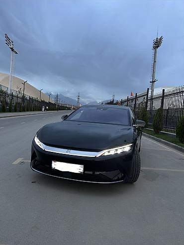 srv 2: BYD Han EV: 2021 г., Электромобиль, Фастбек — 2