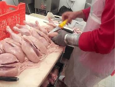 швейные одходы: Требуется Птичник, Оплата: Дважды в месяц — 1