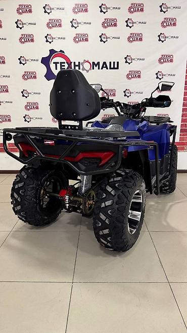 Квадроциклы: Квадроцикл Бензин, 320 куб. см, Взрослый — 10