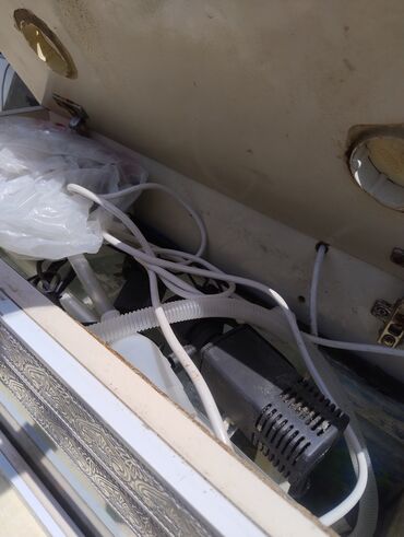 Akvariumlar: Dördbucaq akvarium, Balıqlarla birlikdə, 10 l — 7