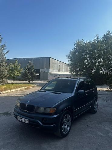 коробка газ 53: BMW X5: 2001 г., 4.4 л, Автомат, Бензин, Кроссовер — 10