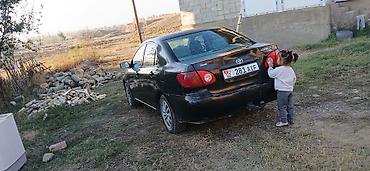 эшик машина: Toyota Corolla: 2003 г., Автомат, Бензин, Седан — 2
