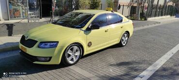 Skoda: Skoda Ocatvia: 1.6 l. | 2015 έ. 209000 km. Sedan — 9