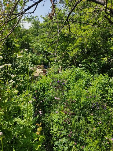 Продажа участков: 5 соток, Красная книга, Тех паспорт — 6