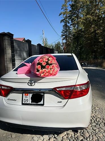 Toyota: Toyota Camry: 2016 г., 2.5 л, Автомат, Бензин, Седан — 7