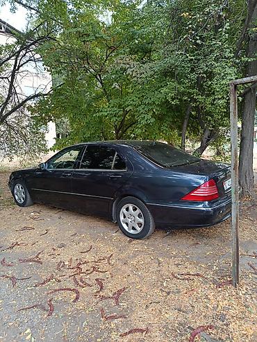 машина 70000: Mercedes-Benz S-Class: 2001 г., 5 л, Автомат, Бензин, Седан — 8