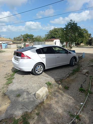 qara disk: Honda Insight hibrid hetçbek - Kuzov: hetçbek, ağ rəng - Yanacaq — 6