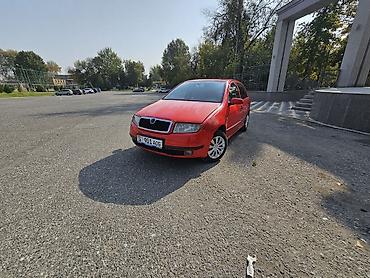 авто без прав: Skoda Fabia: 2001 г., Механика, Бензин, Хэтчбэк — 10