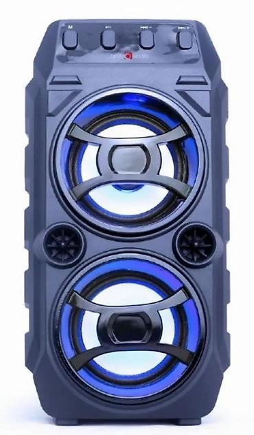 Zvučnici i stereo sistemi: Bluetooth party zvučnik sa karaoke funkcijom – gmb audio - Bežična — 2