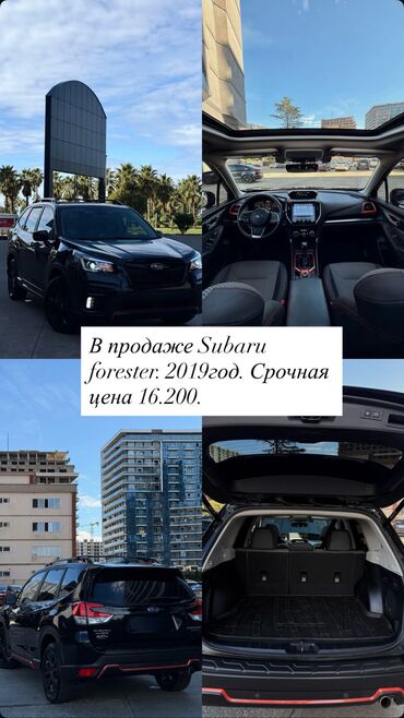 Subaru: Subaru Forester: 2019 г., Вариатор, Бензин, Кроссовер — 1