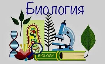 требуется на дом швея: Репетитор Биология Подготовка к школе, Подготовка к экзаменам, Подготовка к ОРТ (ЕГЭ), НЦТ​