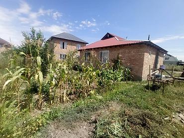 Продажа коттеджей и домов: 💫 Продается дом срочно!!! 💫 Район : Биримдик Кут 📐 Площадь участка  — 2