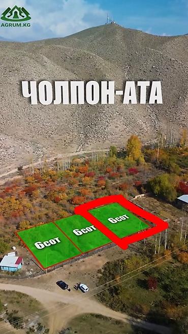6 соток, Курулуш, Кызыл китеп — 2