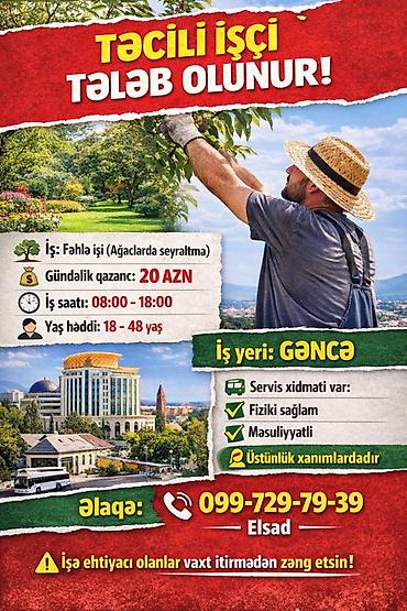 Tikinti ixtisasları: Vakansiya: Fəhlə işi (ağaçlarda seyrəltmə) Məzmun: - Gündəlik qazanc — 1