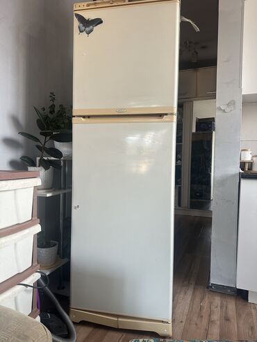 морозильная камера норд: Холодильник Stinol, Б/у, Двухкамерный, 58 * 180 *
