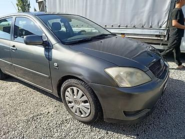 terrano 2: Toyota Corolla: 2003 г., 1.6 л, Механика, Бензин, Хэтчбэк — 2