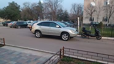 рул: Lexus RX: 2005 г., 3.3 л, Автомат, Бензин, Жол тандабас — 1