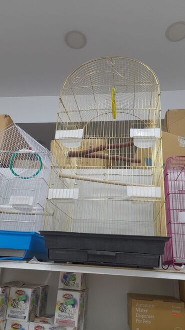 Qəfəslər: Təzə Qəfəslər 9azn boş qəfəslər Valnisti Tutuquşu Qəfəsi 9azn Amadin — 27