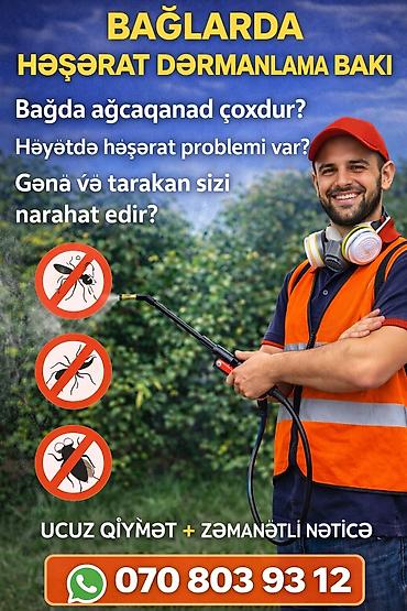 Dezinfeksiya, dezinseksiya: Dezinfeksiya Xidməti Bakı | Həşəratlara 100% Son | 24/7 | 070 803 93 — 3