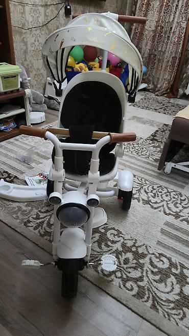 Коляски: Шикарные велоколяски, прочные и очень удобные! Металлокаркас. Кресла — 10