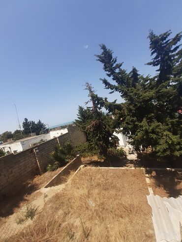 Bağ evlərinin satışı: Bakı, Görədil, 65 kv. m, 1 otaqlı, Hovuzsuz, Qaz, Su, Kanalizasiya — 8