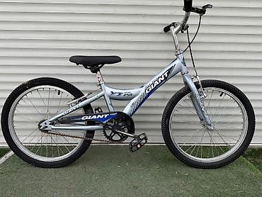 Детский/подростковый велосипед Giant XTC Jr 250 - Рама: алюминиевая