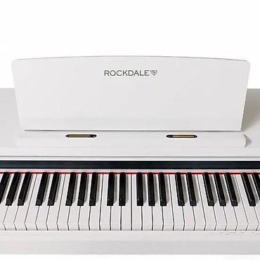 dinami: Elektro piano "Rockdale Arietta White"Təsvir : Rockdale Elektro Piano — 2