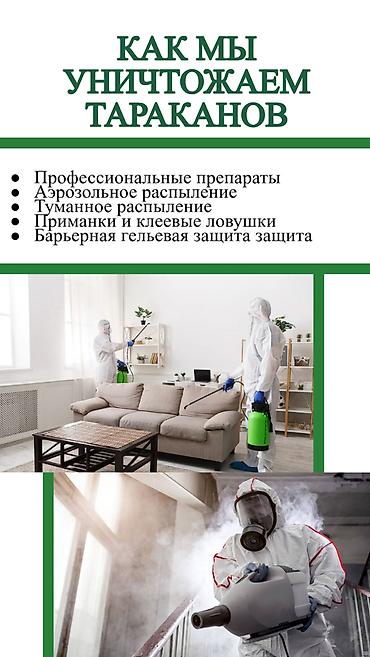Дезинфекция, дезинсекция: Дезинфекция, дезинсекция, | Клопы, Блохи, Тараканы, | Транспорт, Офисы, Квартиры — 6
