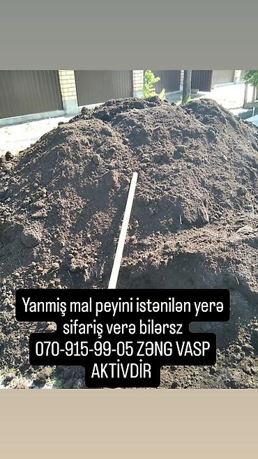 продать ковер бу: Qara meşə torpağı, kübrə əvəzi Yanmış peyin Şamaxı İsmayıllı — 4