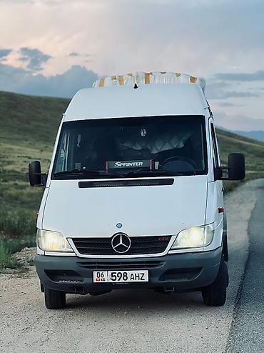 токмок скупка: Грузоперевозка Грузопассажирный перевозка Ош-Бишкек Бишкек -Ош — 3