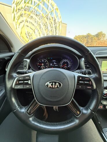 Kia: Kia Sorento: 2019 г., 2 л, Автомат, Дизель, Кроссовер — 24