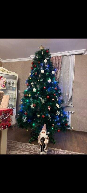 yolka 2023: Uzunlugu 3metre olar, alt hissesinde bir hissesini taxmadm lap hundur