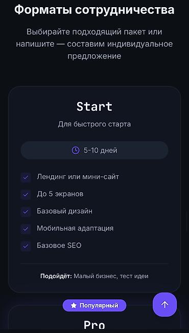 Разработка сайтов, приложений: Веб-сайты, Лендинг страницы | Разработка, Автоматизация — 10