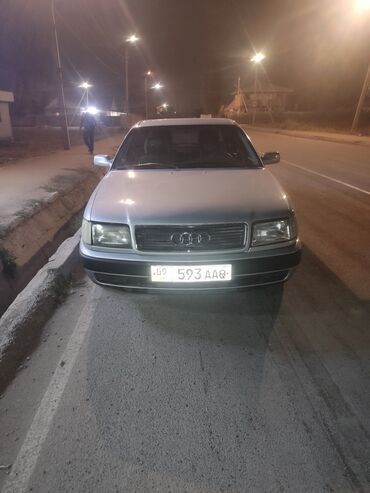 лямбда зонд гольф 3: Седан Audi 100 серебристого цвета, представленный на фотографиях