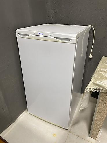 irşad electronics soyuducu: Dnepr markalı birkameralı soyuducu - Kompakt ölçülü ağ korpus — 1