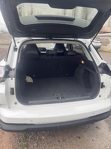 Tesla: Tesla : 2022 г., Электромобиль, Кроссовер — 3