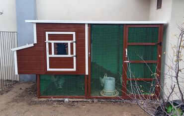 Yuvalar: Tuyuq yuvası Hin sifarişlə hazırlanması istənilən ölçüdə tam — 13