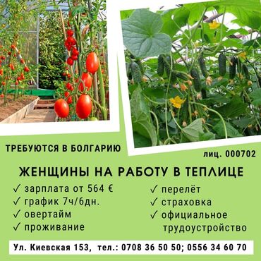 Сельское хозяйство: 000702 | Болгария. Сельское хозяйство. 6/1