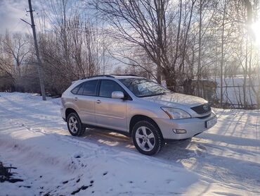 не находу авто: Lexus RX: 2003 г., 3.3 л, Автомат, Бензин, Внедорожник