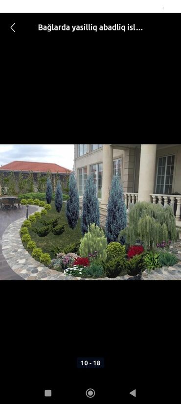 Landşaft işləri: Qazon catrlma qurasdrma agaclarin budanmasi dermanlanmasi ummu — 9