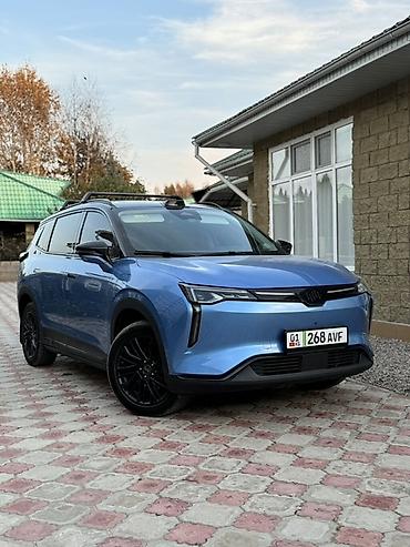 Weltmeister: Weltmeister W6, 2022 г., 54000 км — 6