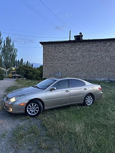 Lexus: Lexus ES: 2005 г., 3.3 л, Автомат, Седан — 7