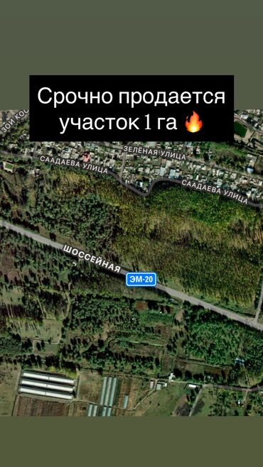 купить дом в киргизии на иссык куле: 100 соток, Бизнес үчүн