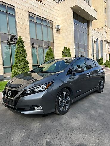 leopard 3: Nissan Leaf: 2018 г., Автомат, Электромобиль, Хэтчбэк — 10
