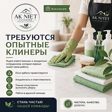 life network system: Требуется Уборщик — 1