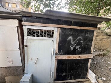 geref quşu: Real alıcıya endirim olacaq