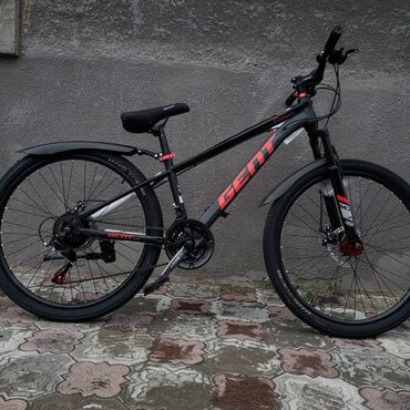 Городские велосипеды: Городской велосипед, Рама XXL (190 - 210 см) — 1