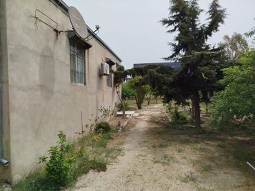 Bağ evlərinin satışı: Digah, 144 kv. m, 4 otaqlı, Hovuzsuz, Kombi, Qaz, İşıq — 23